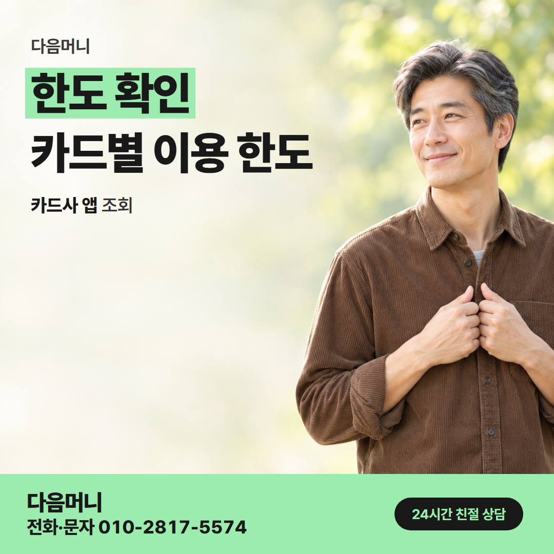 다음머니 순천카드깡 카드사 앱 조회 화면